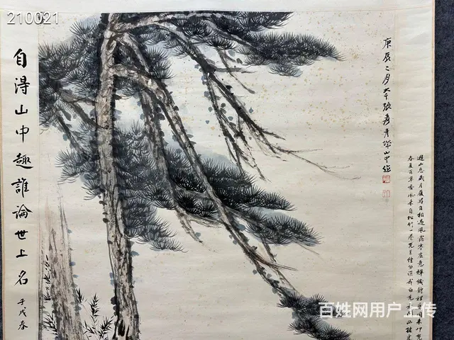 张大千62 - 图片 5