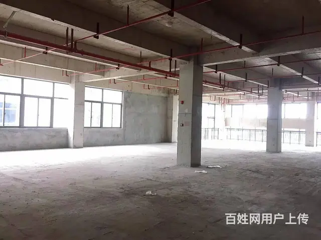 （老板本人）星沙未来智汇城标准厂房仓库房东直租  6011 - 图片 5