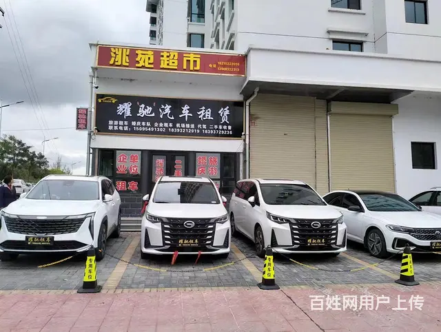 临洮汽车租赁 - 图片 3