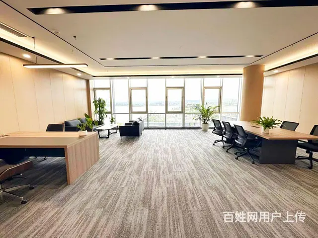 天府菁蓉中心兴隆湖低密阔办公全装全配环保办公家居 - 图片 4