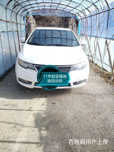 起亚福瑞迪 - 图片 1