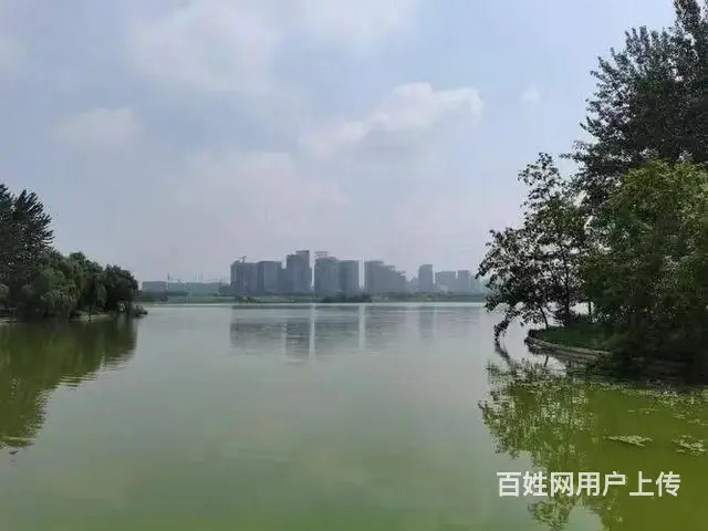 新校区看大龙湖全景的办公室 - 图片 7
