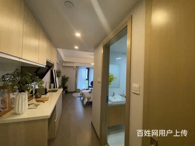 西溪美岸，未来科技芯，4.79米双钥匙双户，阿里全 - 图片 6