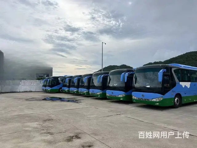多台东北配46座宁德时代申龙旅游电车 - 图片 1