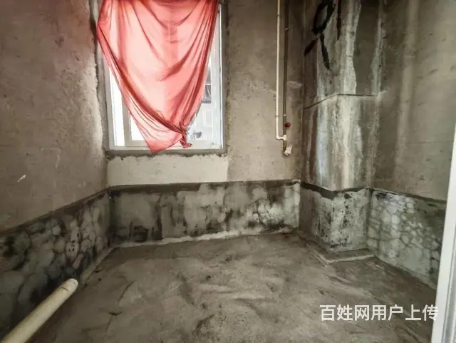 招商花园旁拓海南山郡三房，可按揭，  即装修 - 图片 10