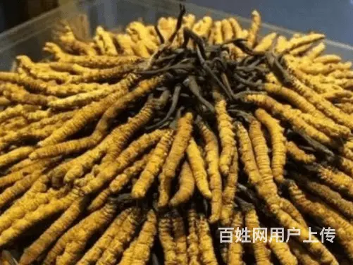 黄冈市专业礼品回收电话个人上门回收烟酒 - 图片 2
