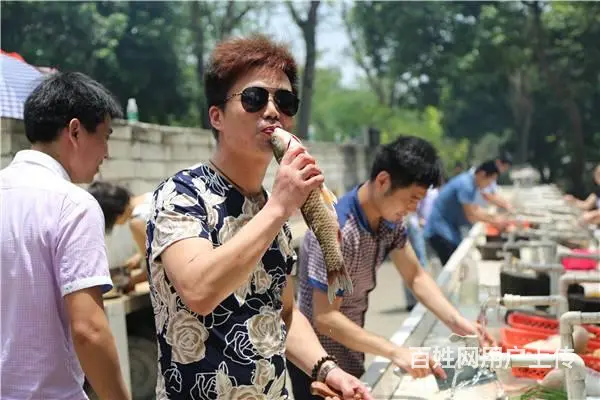白云区周边游，星空下的味蕾之旅，露营煮茶的艺术 - 图片