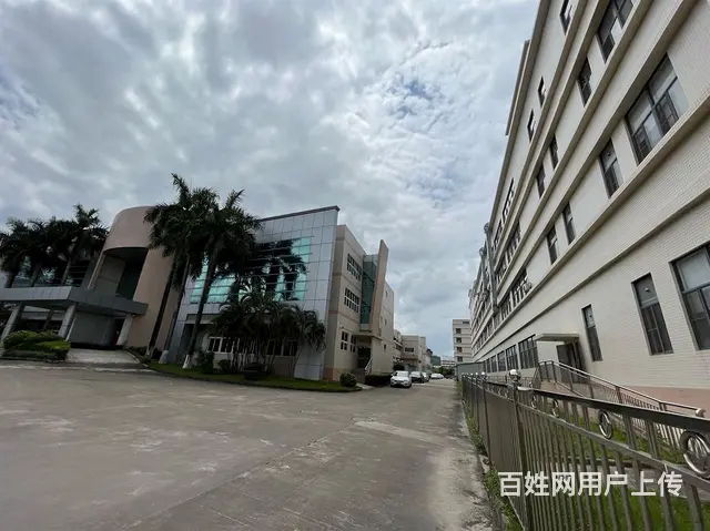 珠海市香洲区唐家湾国有证厂房出售11000平方42 - 图片 4