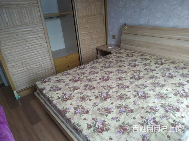 时代阳光B区精装房出租 - 图片 2