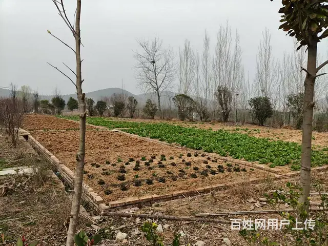 （徐州找店网）贾汪大洞山风景区农家乐生态园出租 - 图片 12