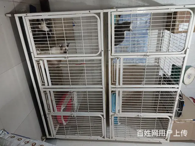 猫笼子 - 图片 3