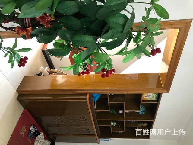 爱干净的优先 - 图片 2