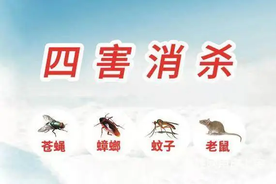 专业四害消杀除蟑螂除蚂蚁除老鼠除百虫 根除干净 - 图片 5
