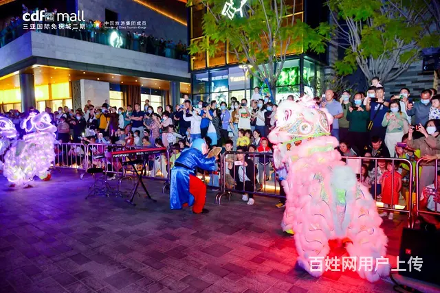 LED灯光醒狮表演团队，夜光醒狮表演，灯光舞狮表演 - 图片 2