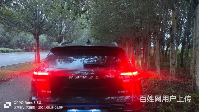 哈弗H6 2019款 1.5GDIT 双离合 冠军版红标 - 图片 4