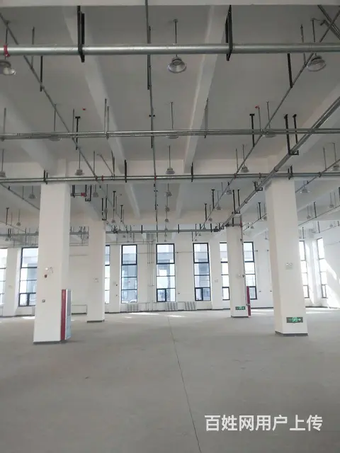 新建厂房，核心地带，免租两年，可办环评 - 图片 5