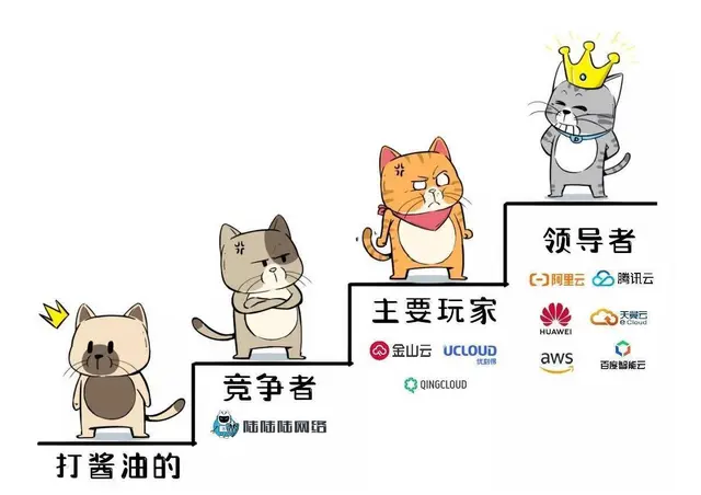 泉州100G高防服务器网站搭建专用 - 图片