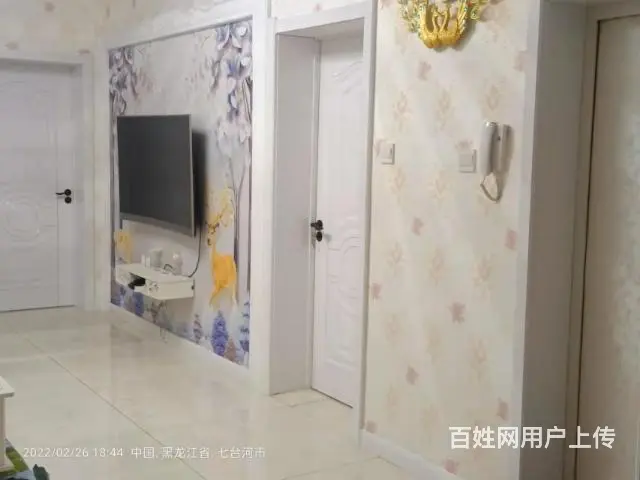房屋精装修吉卖 - 图片 3