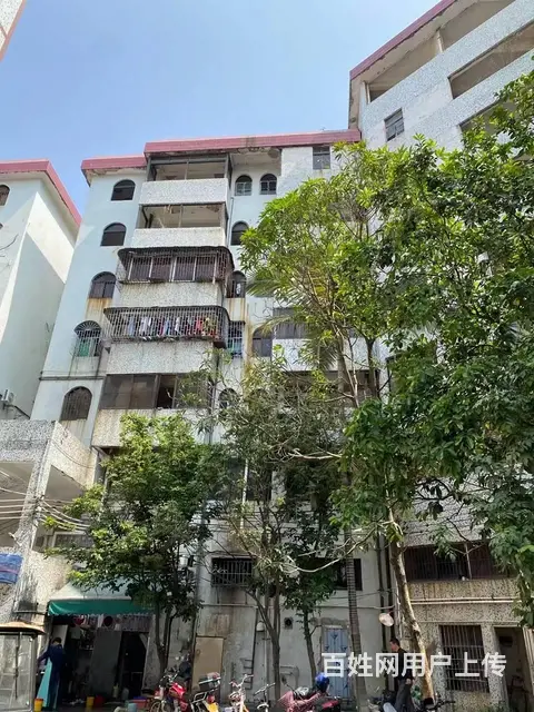 【搞定了！】鸿发大厦前栋中梯三层至七层 普通住宅1厅 毛坯 - 图片 1
