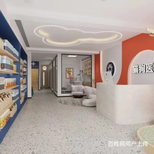 抚顺新抚教育机构性价比高的装饰公司联系方式 - 图片 3