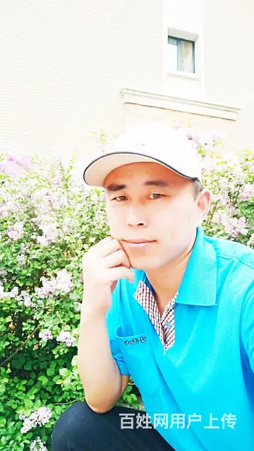 找老婆 - 图片 1