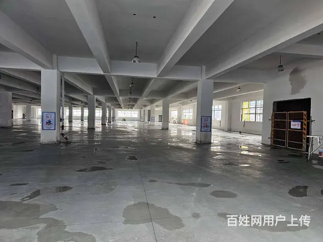 董浜全新厂房1至4层14000平，可分租，高8米，随时可用。 - 图片 4