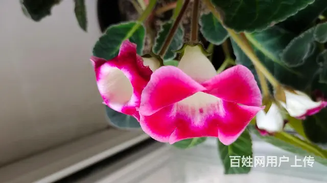 拎包入住 - 图片 9