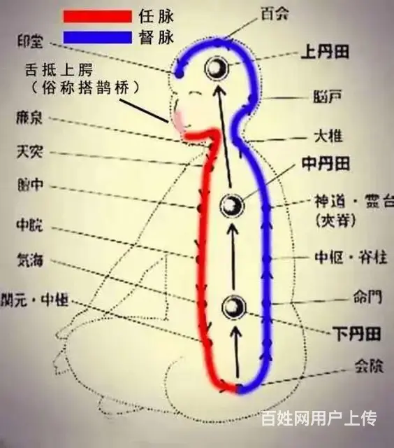 道家气功私教课程 - 图片 4
