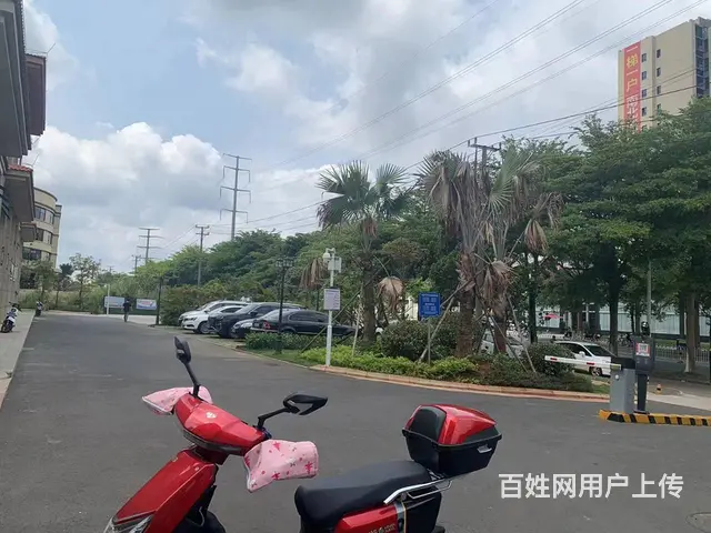 （51旺铺推荐）110平苍峄路书馨花苑临街铺面出租 - 图片 1
