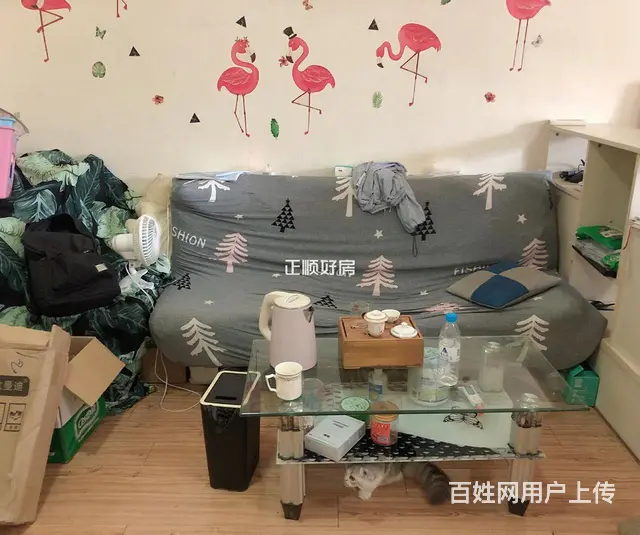 湖心路交通便利西江月45平精装业主急卖 - 图片 8