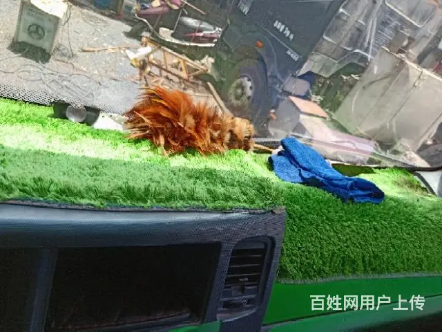 重汽王牌777B - 图片 6