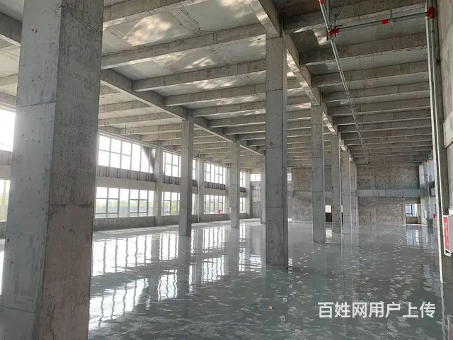 非中介，免3年政策，成新蒲路边（厂房出租出售 - 图片 5