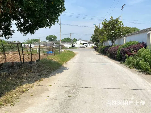(房东直租)黄兴镇鹿芝岭海吉星物流总部450平仓库优价出租 - 图片 11