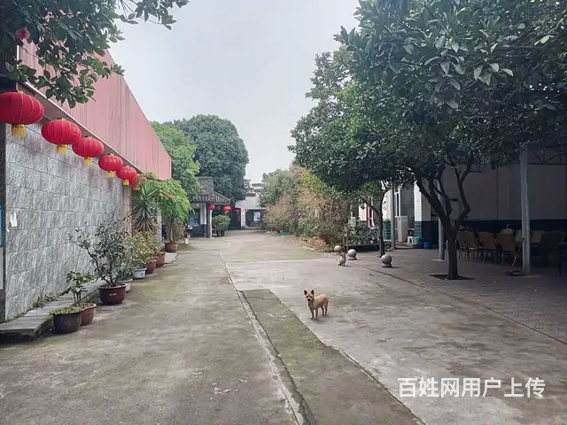 绵竹市二环路4000平农家乐出租也可做仓库和加工场所 - 图片 7