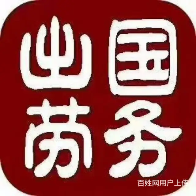 澳洲/欧洲/大包落地/出签再付款/保签 - 图片 1