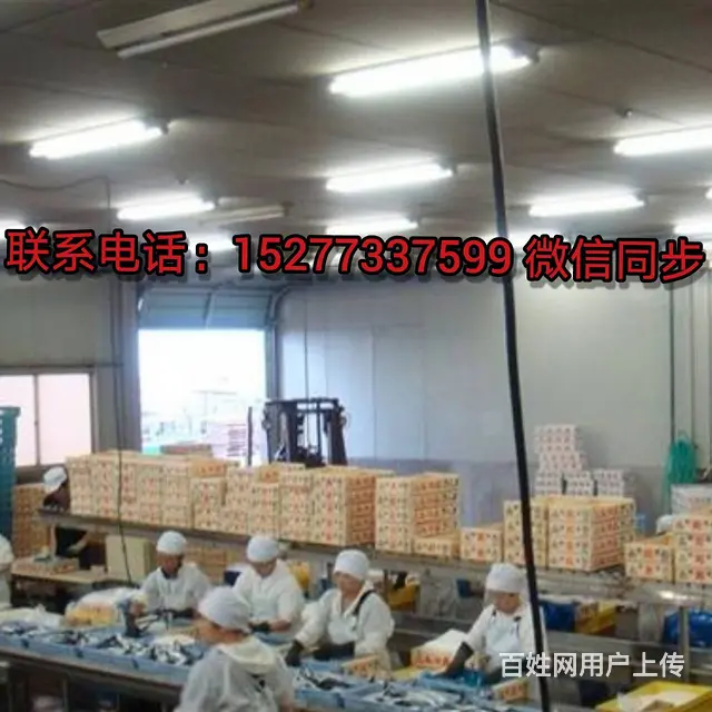 招多种职位/正规国外劳务 - 图片 3
