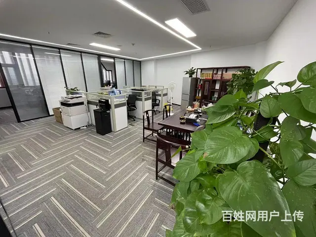 （三横王）海口高铁东站，210平 有车位； - 图片 2
