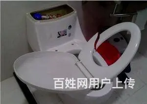 西固天鹅湖专业修马桶、修水管、修暖气，专业水暖工 - 图片 3