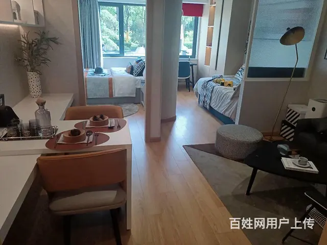 环球港旁百兴芝荟时光，地铁口旁，恐龙园旁均价8000多小公寓 - 图片 5