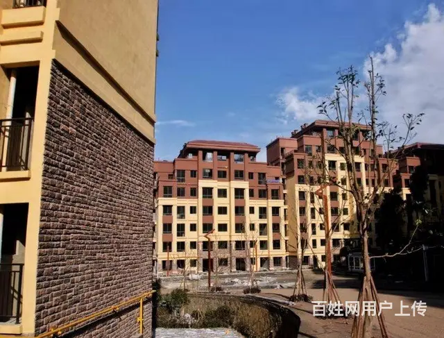 枕泉翠谷  翡翠星空 - 图片 8