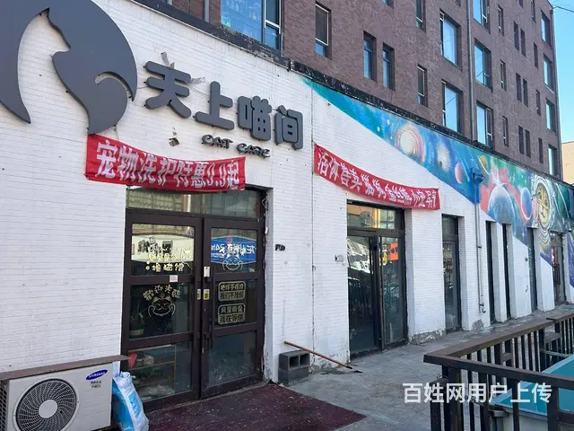 学院路清吧 宠物猫咖 奶茶饮品店铺出兑 - 图片 1