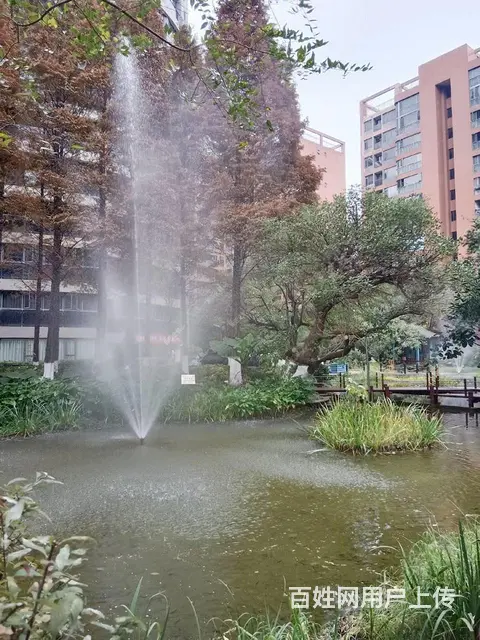 新上！吴井路城市理想精装大2房 带家具家电拎包入住 - 图片 12