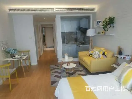 东方世贸城 精装修 loft 公寓 层高5.8米 - 图片 4