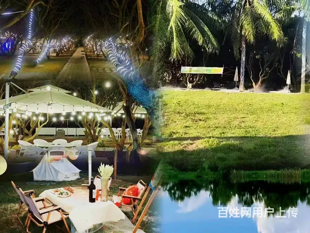 （51旺铺推荐）海棠湾1500平林下餐厅出租（直租无转让费） - 图片 8