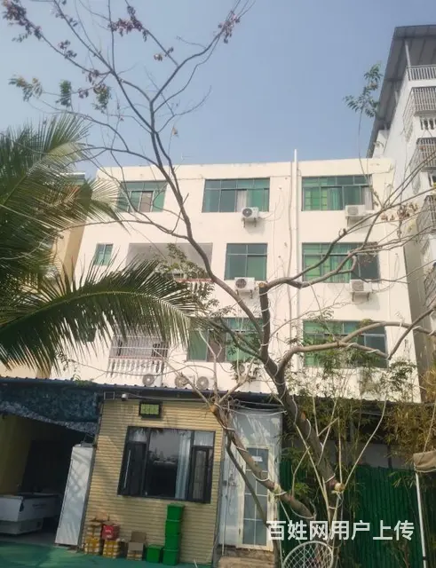 （51旺铺推荐）天涯区回新路整栋旅租+火锅店转让 - 图片 6