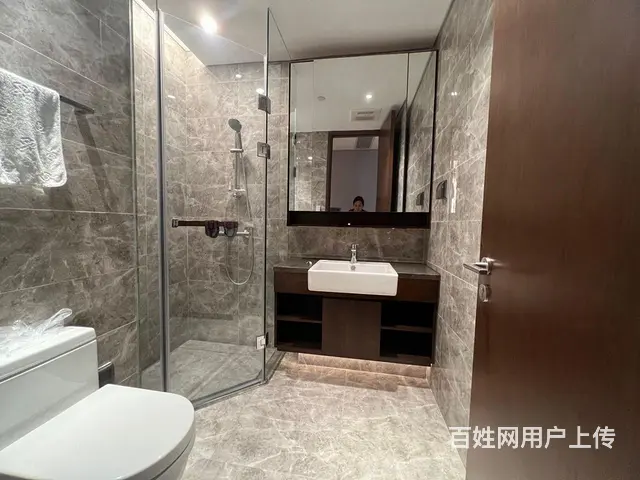 汉街  省政府 水果湖 skp接待办共好房  实地 - 图片 9