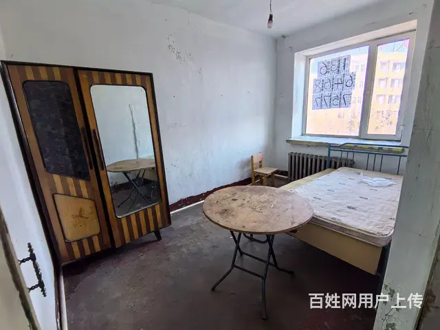 南山新建街 - 图片 4