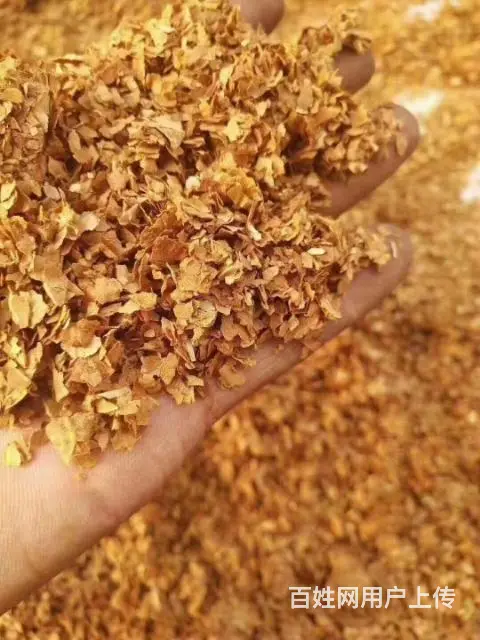 正宗夹皮沟关东老旱 - 图片 2