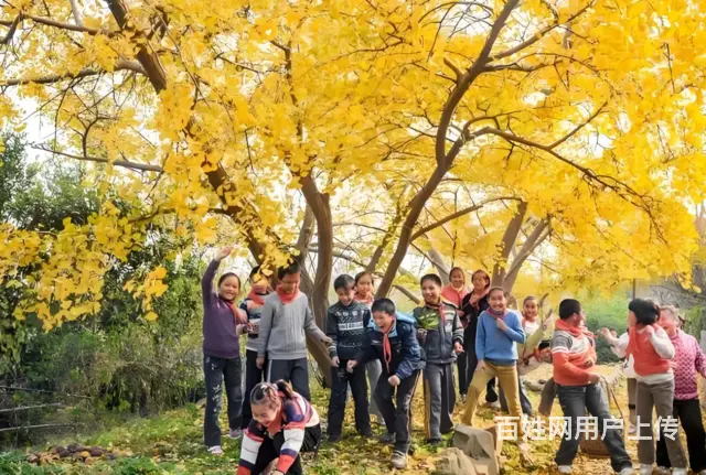 苏州西山岛农家乐包吃包住橘子采摘游品太湖蟹 - 图片 2