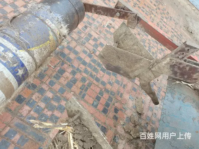 驴头牛 - 图片 4